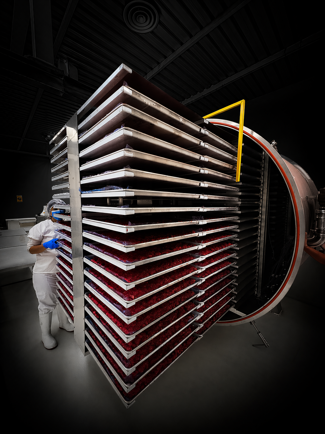 SíoSí Freeze Drying